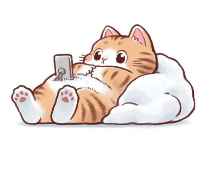 Khám Phá Ngay Bộ Ảnh Mèo Mập Béo Ú Cute Dễ Thương Avt Gây Bão Mạng