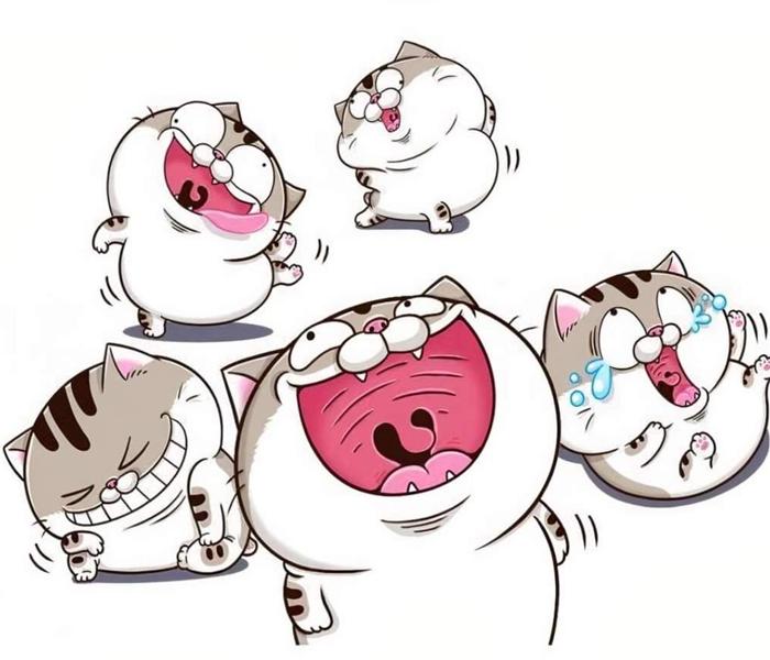 Hình ảnh mèo mập chibi hài hước