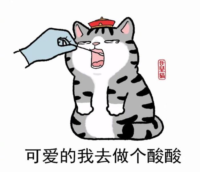 +177 Ảnh Mèo Hoàng Thượng Chibi, Meme – Hình Nền Gây Bão Internet