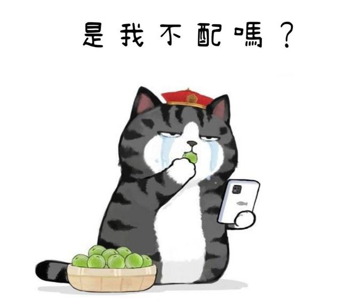 Ảnh mèo hoàng thượng