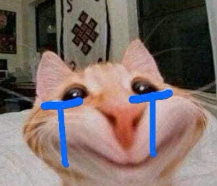 Top 255+ Hình Ảnh Mèo Khóc Đa Sắc Thái Meme Hài Hước – Avt Cute Xỉu
