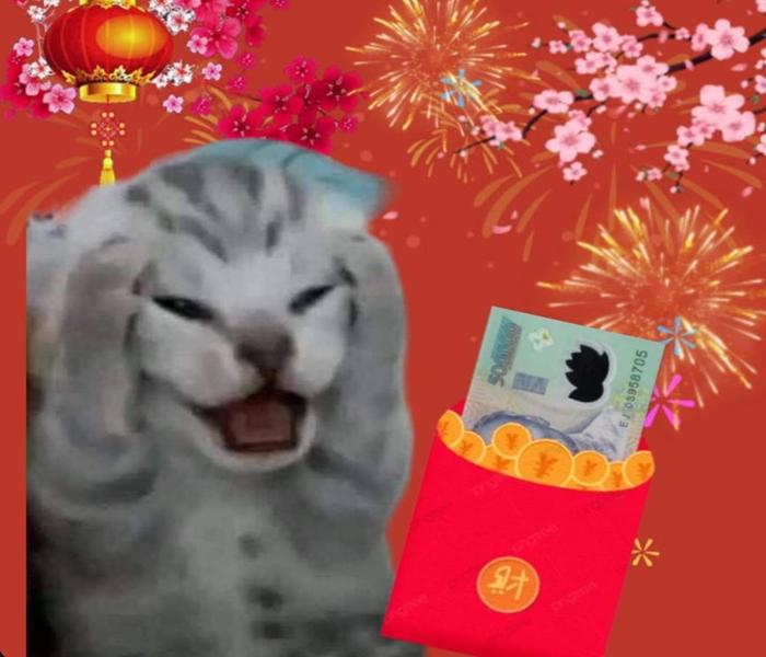 Hình ảnh mèo Tết meme