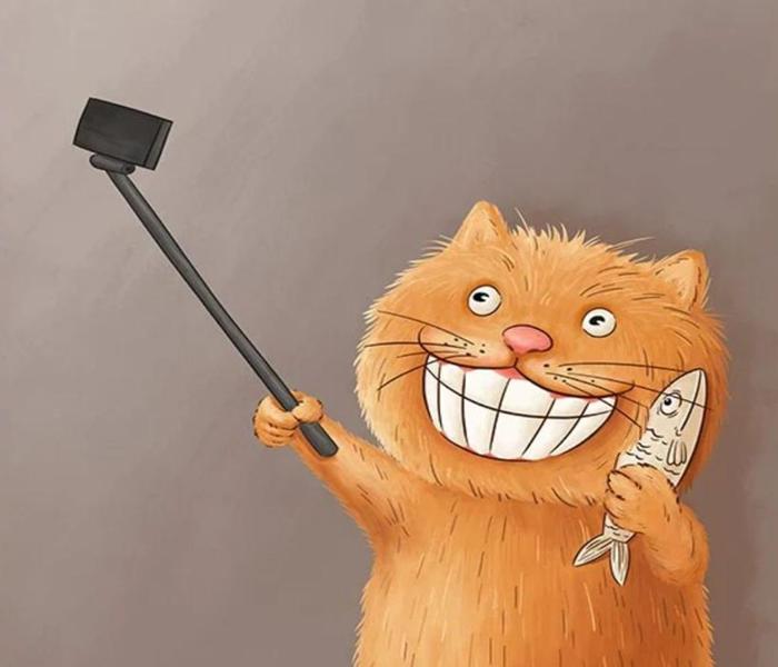 Hình vẽ, tranh tô màu con mèo cute đơn thuần