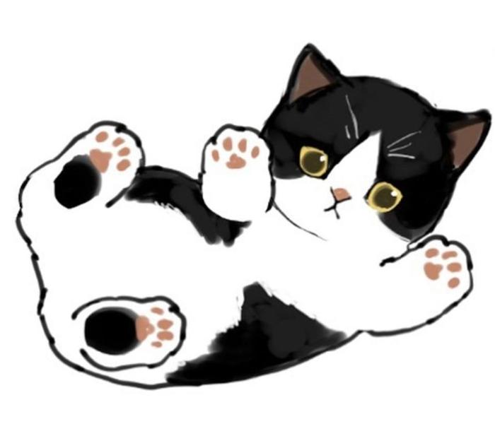 Ảnh mèo chibi cute