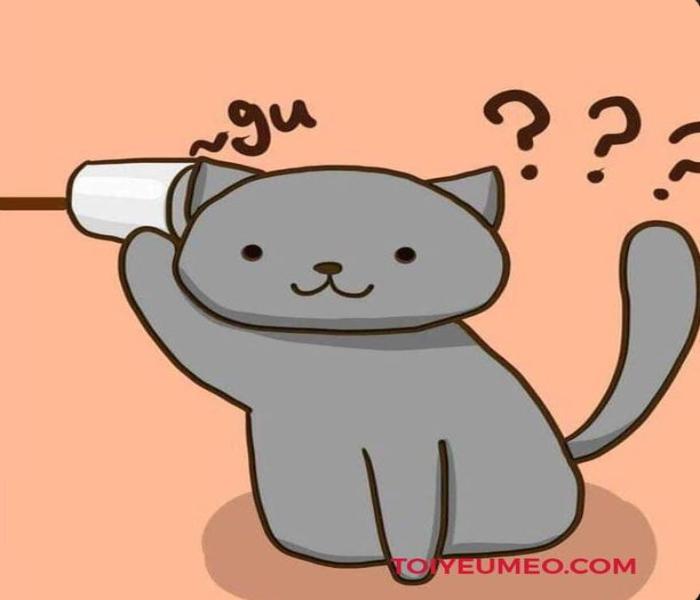 Avatar mèo chibi đôi cute