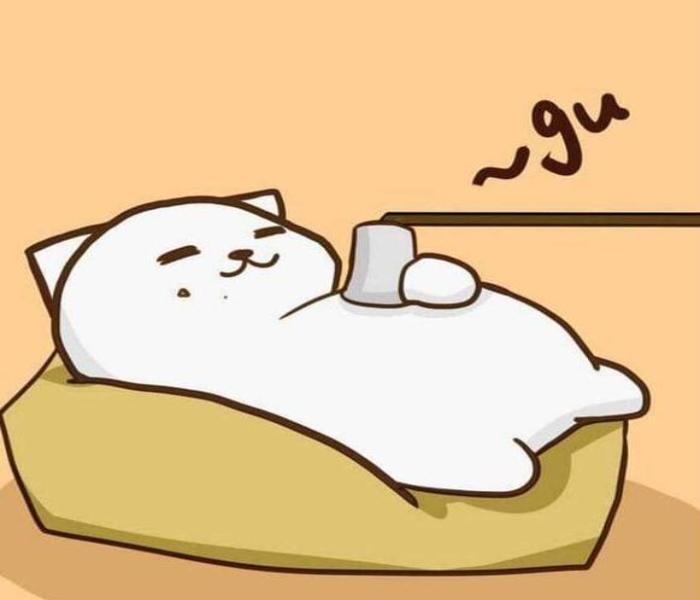 Avatar mèo chibi đôi cute