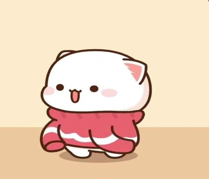 Avatar mèo chibi đôi cute