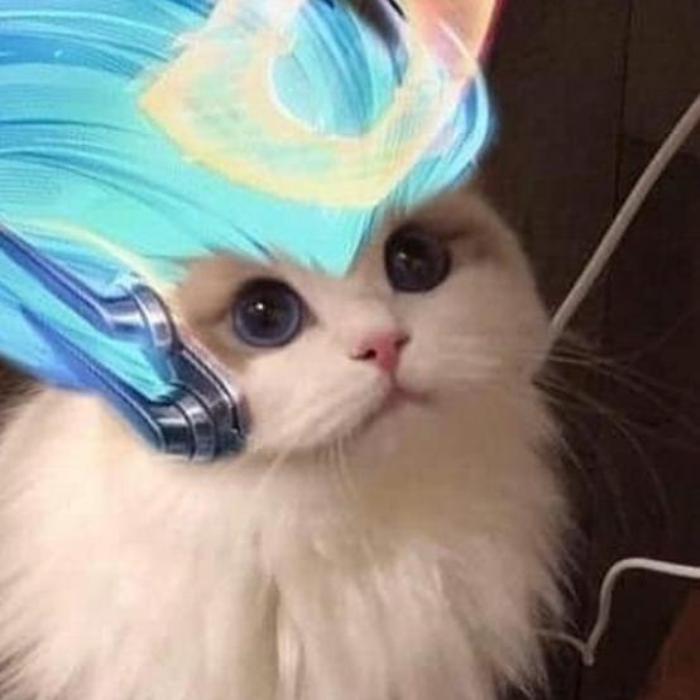 Mèo FF