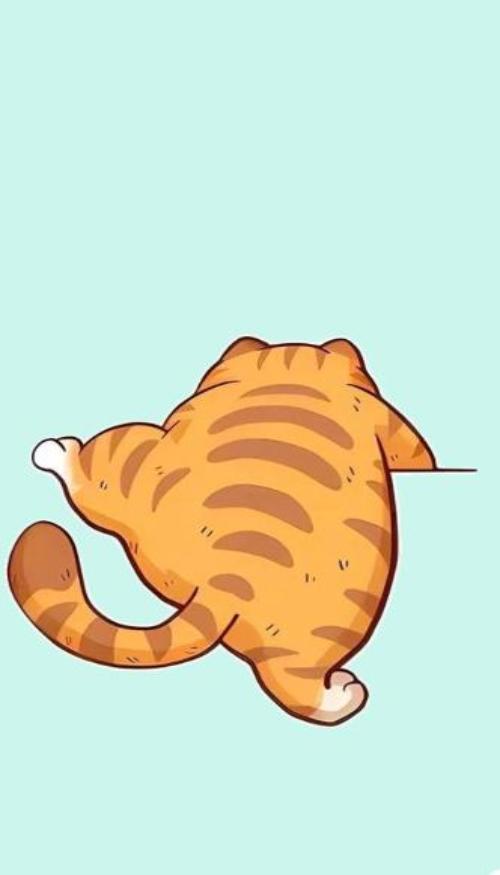 Hình nền điện thoại ảnh mèo hoạt hình xinh 