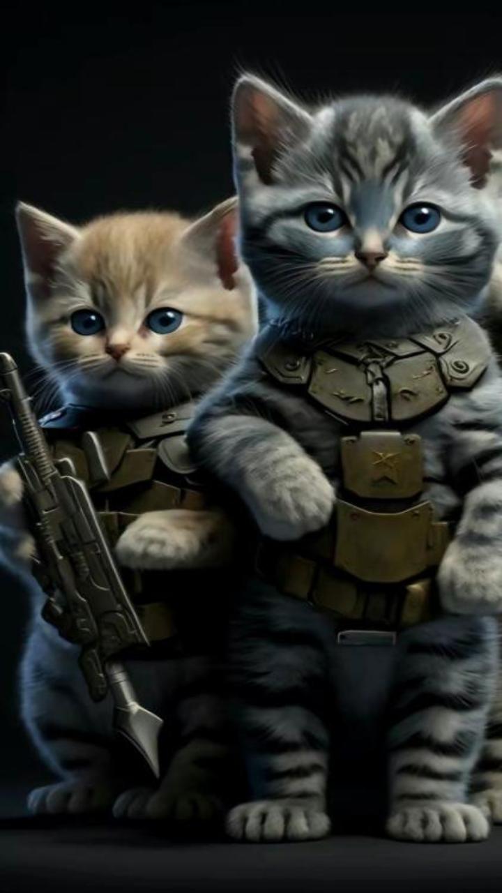 Hình nền điện thoại mèo cầm súng ngầu, cute