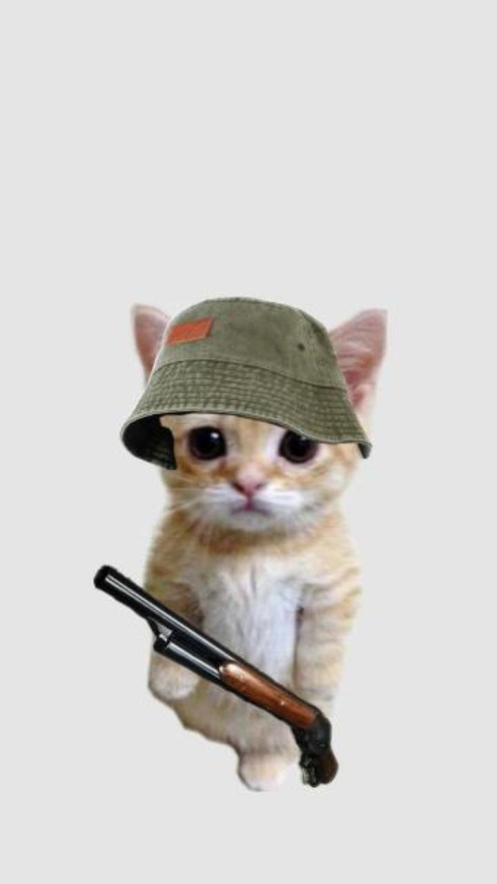 Hình nền điện thoại mèo cầm súng ngầu, cute