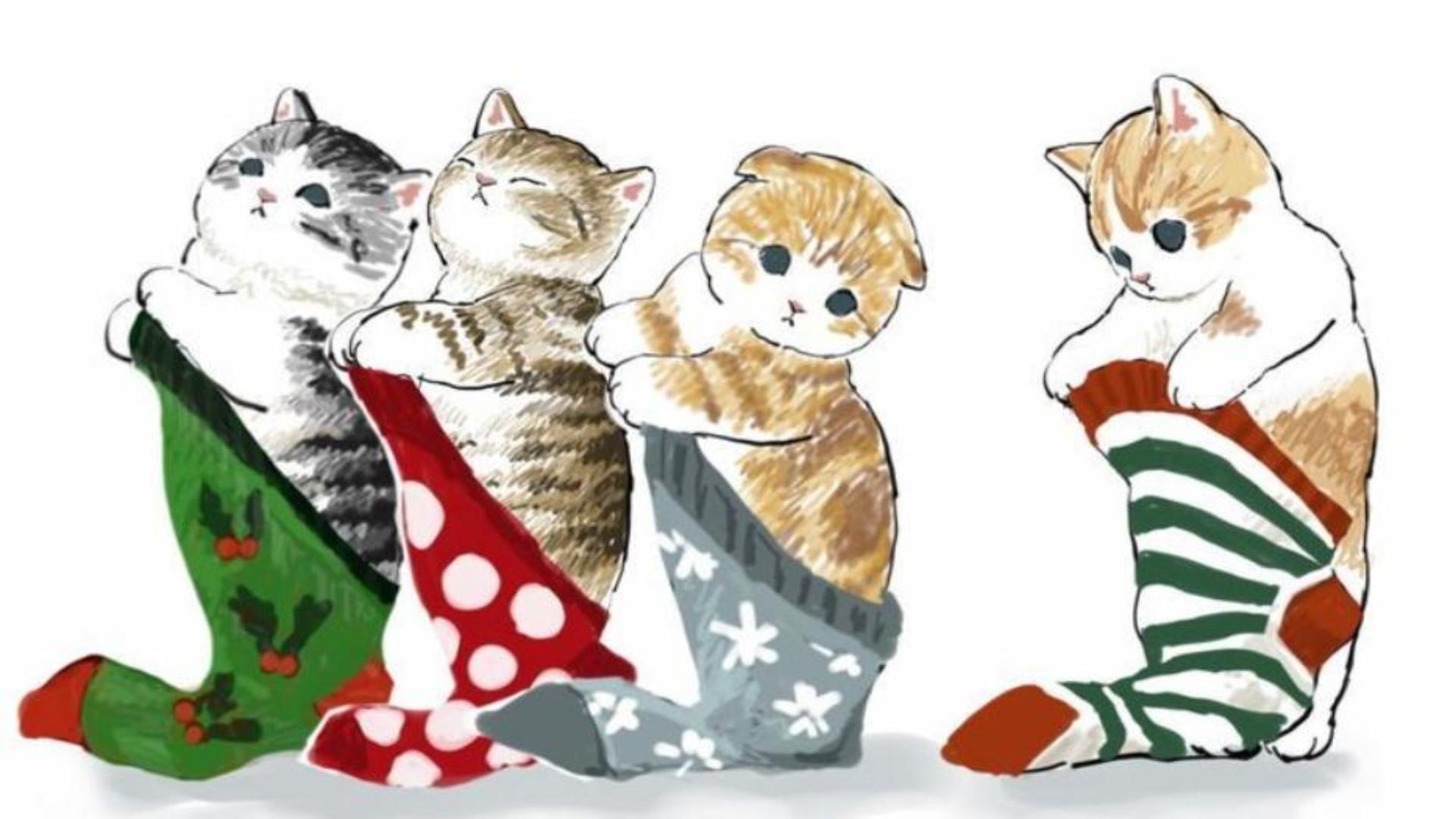 Hình nền máy tính ảnh mèo noel dễ thương 