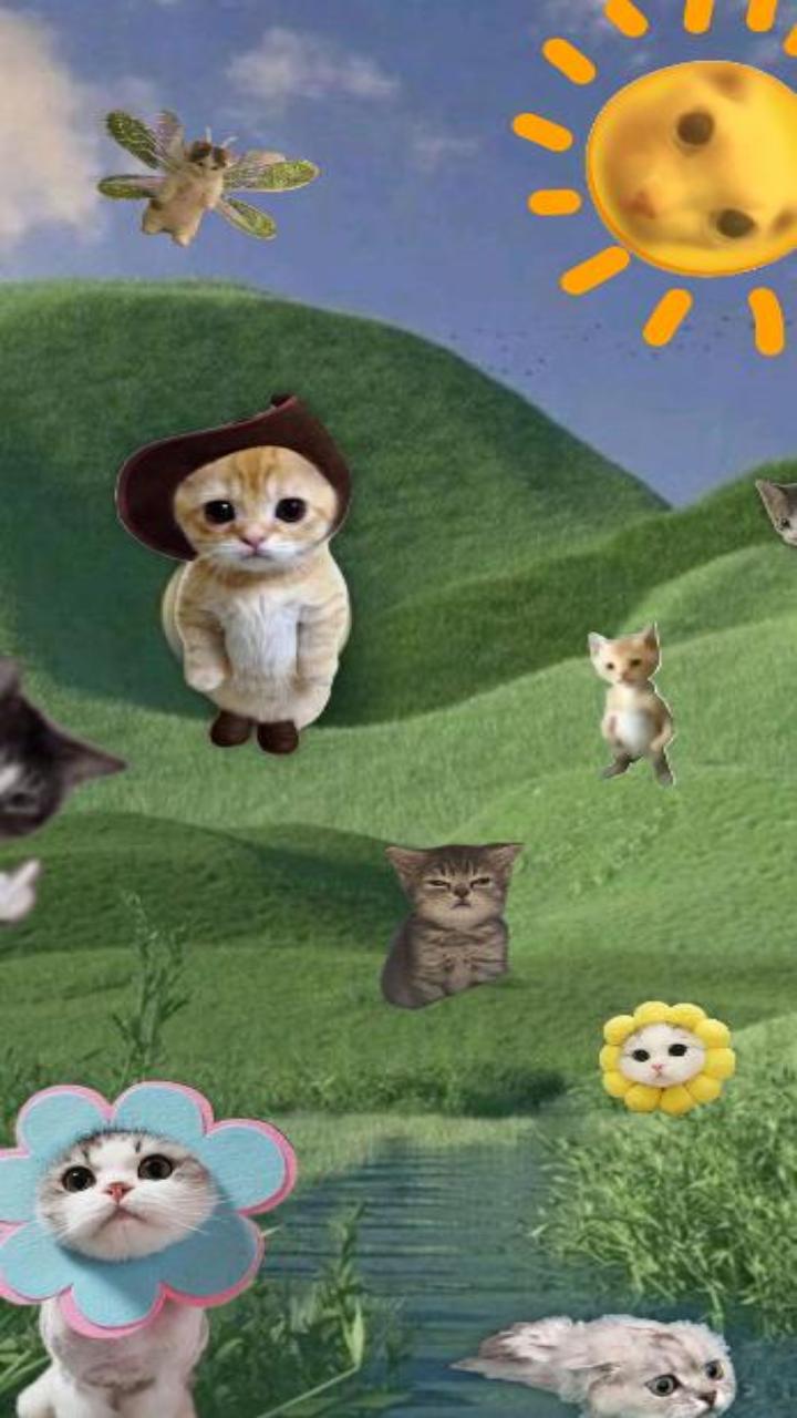 Hình nền zalo mèo cute nhí nhảnh