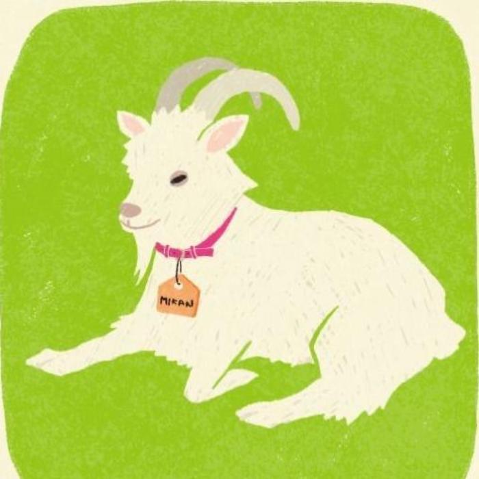 Ngắm Nhìn Loạt Hình Vẽ Con Dê, Ảnh Dê Vẽ Đơn Giản Dễ Vẽ Miễn Phí