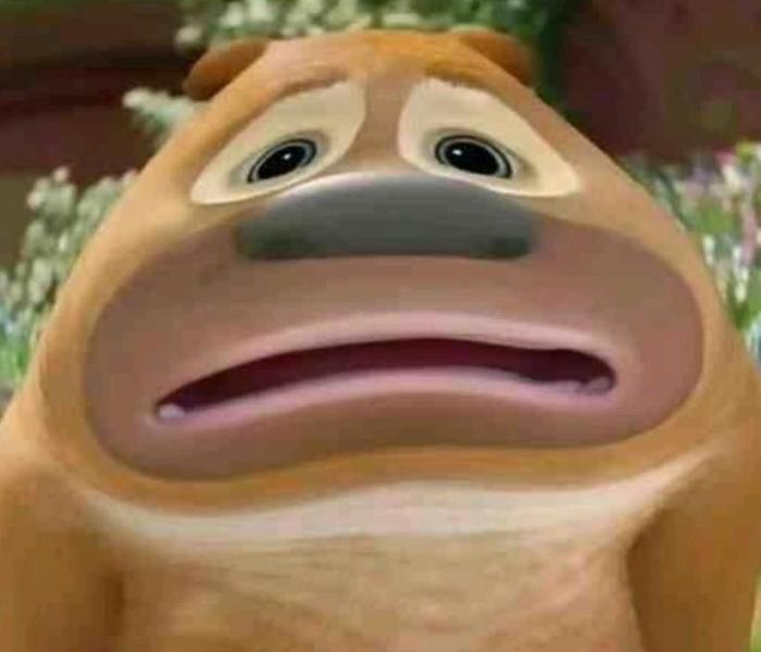 Ảnh gấu meme cute