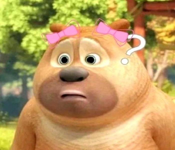 Ảnh gấu meme cute