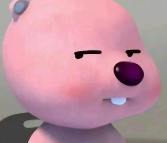 Ảnh gấu meme cute