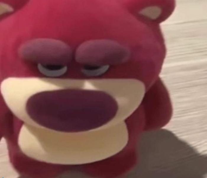 Ảnh gấu meme cute