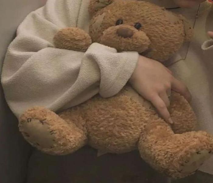 Hình ảnh gấu bông Teddy