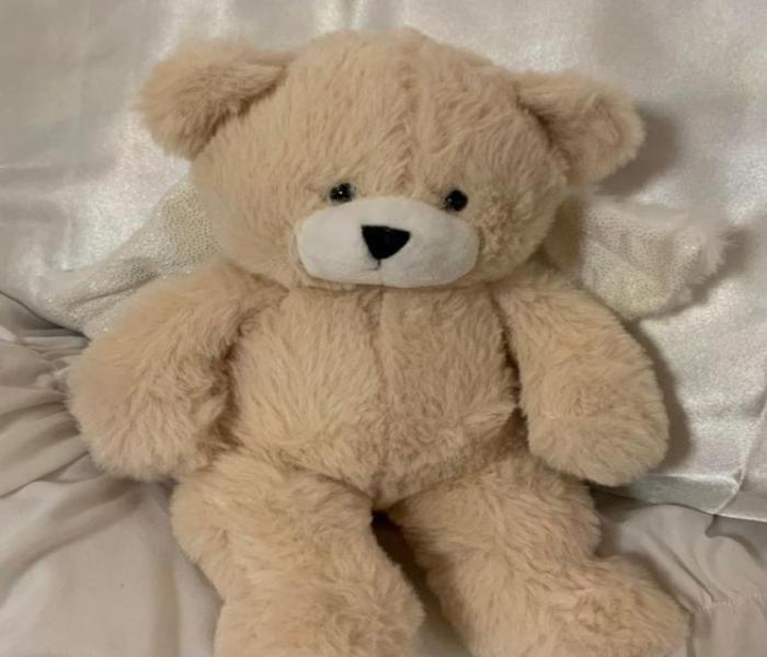 Hình ảnh gấu bông Teddy
