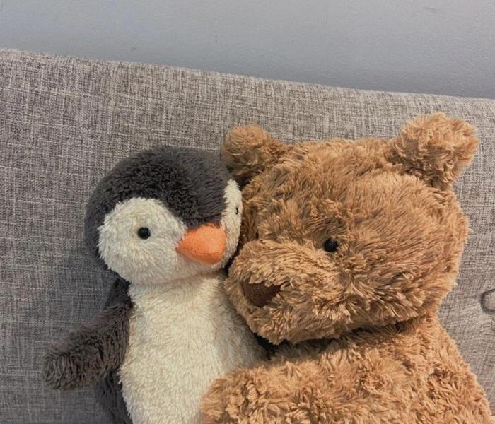 Hình ảnh gấu bông Teddy