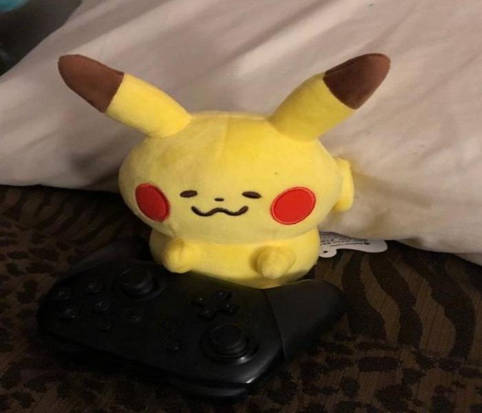 Ảnh gấu bông Pikachu