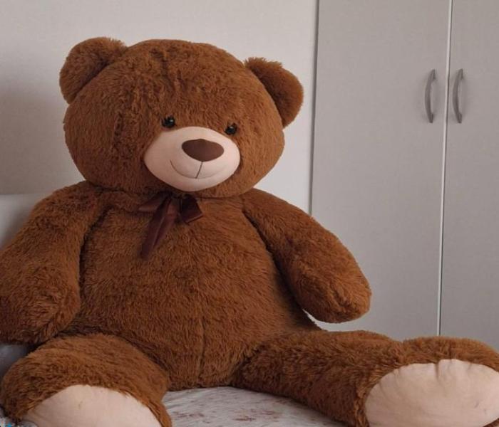 Hình ảnh gấu bông Teddy