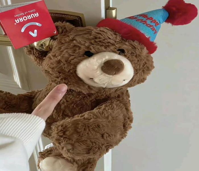 Hình ảnh gấu bông Teddy