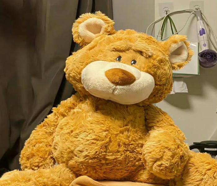 Ảnh gấu bông cute