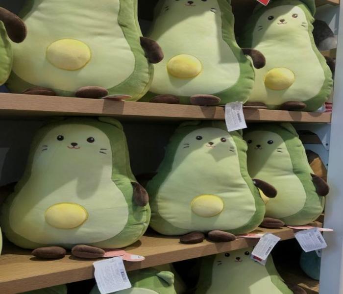 Ảnh gấu bông cute