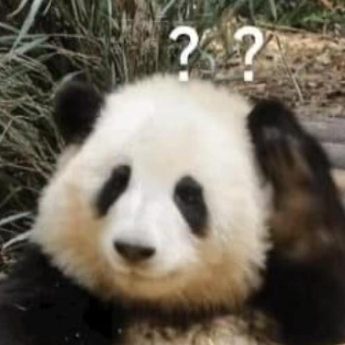 Hình meme gấu trúc cute