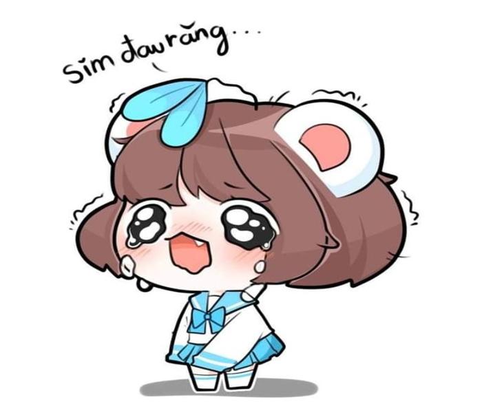 Ảnh gấu tuyết Simmy