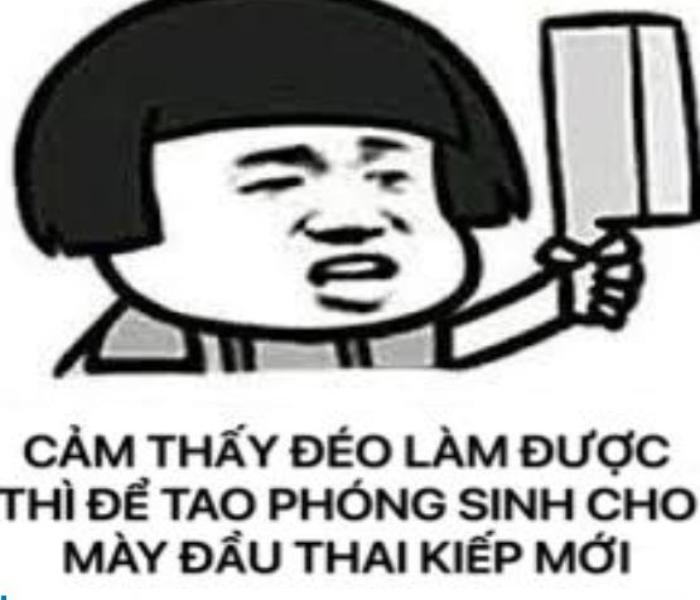 Ảnh meme gấu trúc siêu bựa