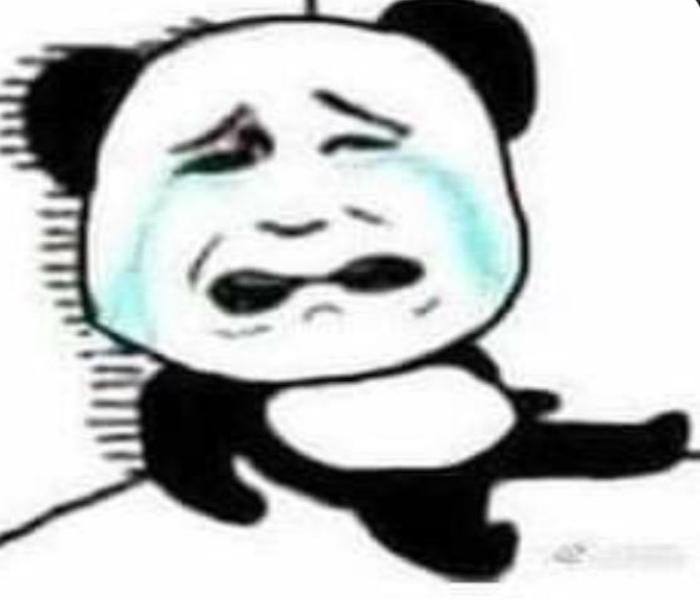Ảnh meme gấu trúc siêu bựa