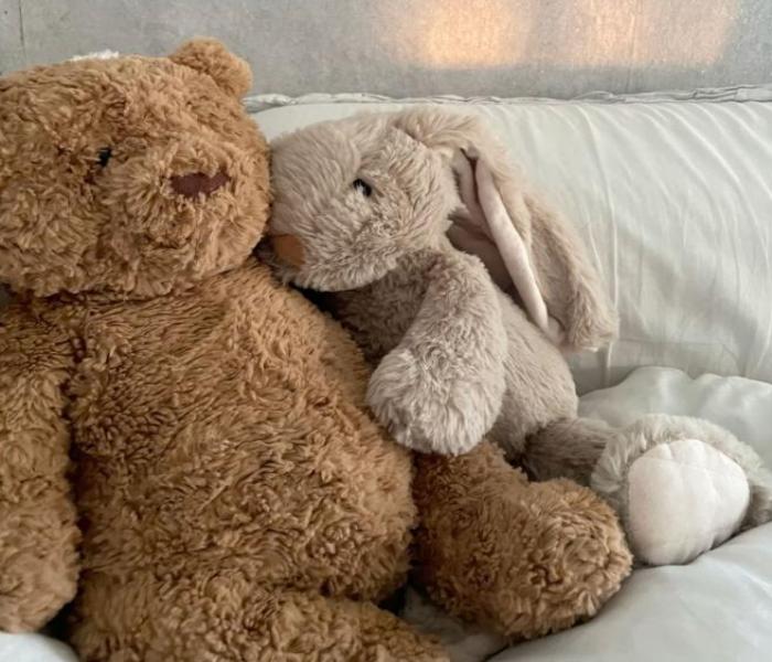 Hình đại diện cute gấu đôi