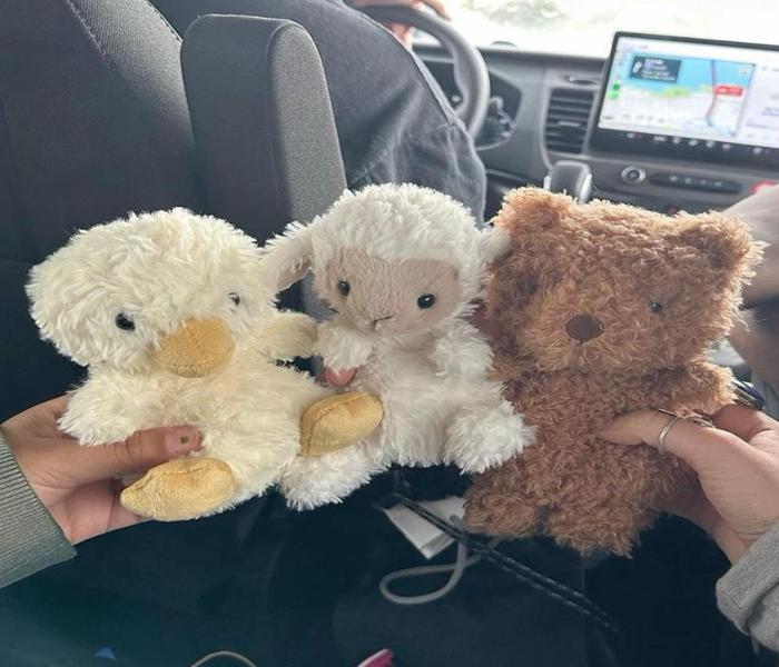 Ảnh avatar gấu bông cute