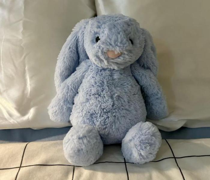 Ảnh avatar gấu bông cute