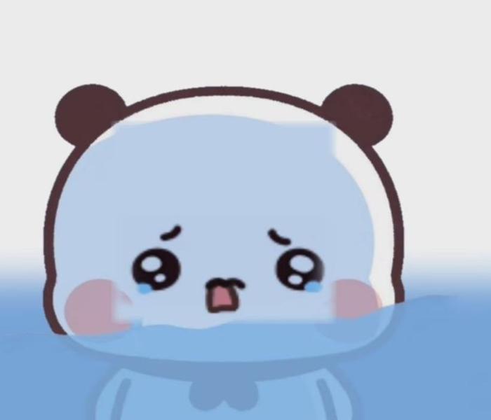 Avatar gấu buồn