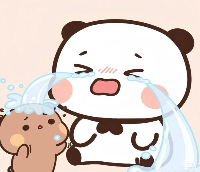Avatar gấu buồn
