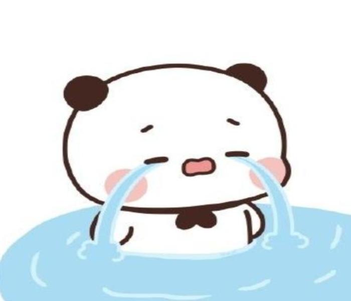 Avatar gấu buồn
