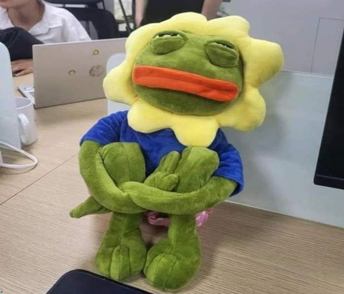 Ảnh gấu bông buồn cute