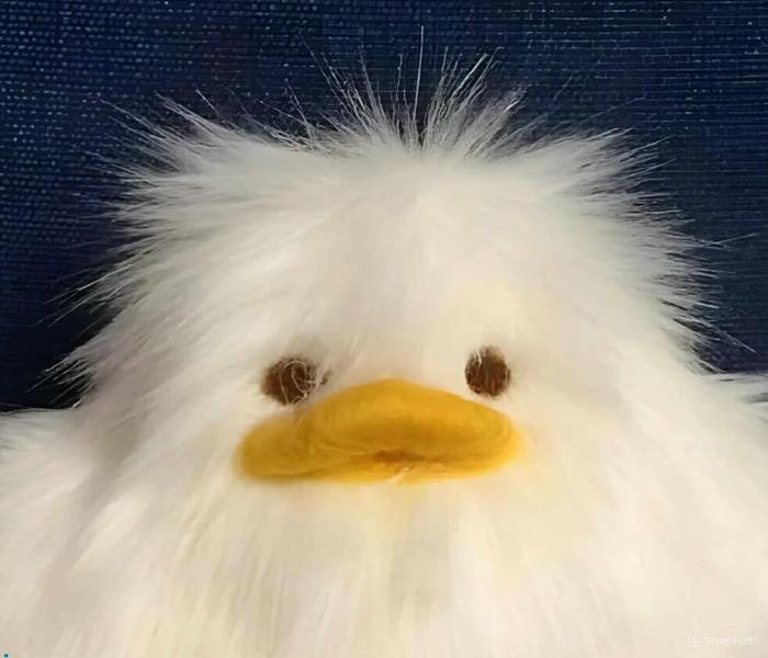 Ảnh gấu bông cute