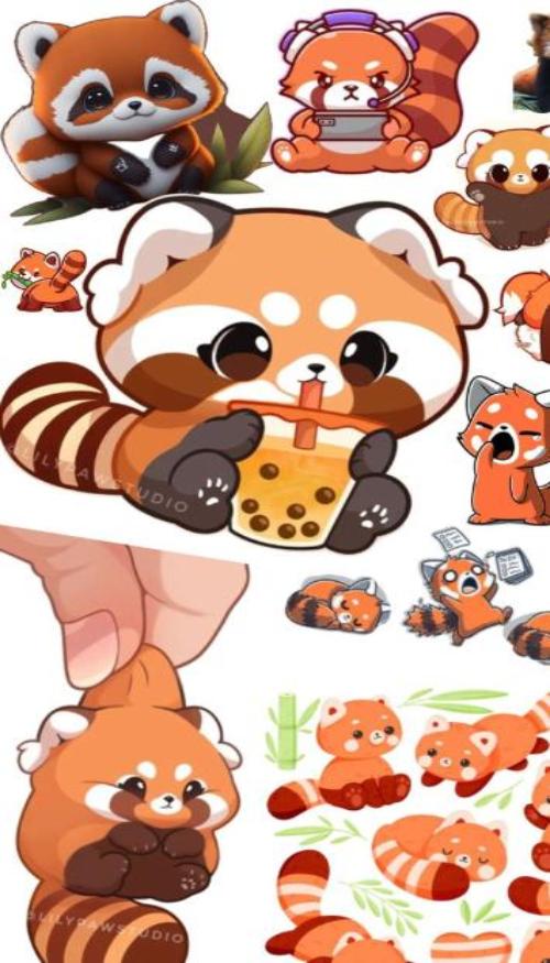 Hình nền iphone ảnh gấu trúc đỏ cute 