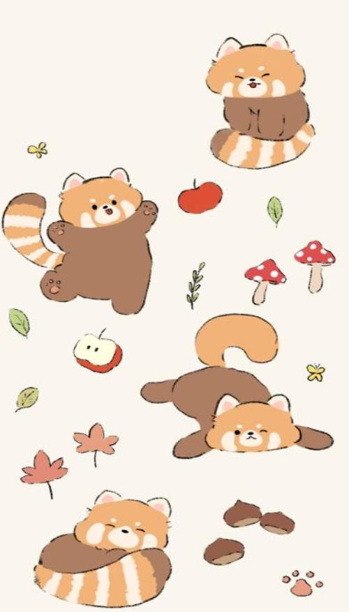 Hình nền iphone ảnh gấu trúc đỏ cute 