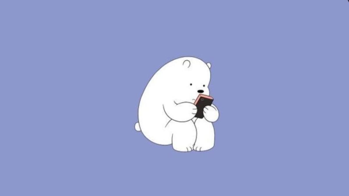 Hình nền máy tính ảnh gấu trắng cute