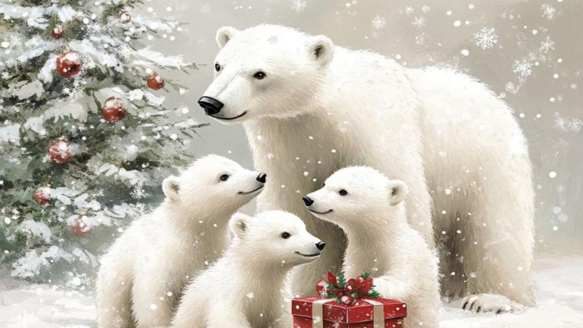 Hình nền gấu tuyết dễ thương cho MT 