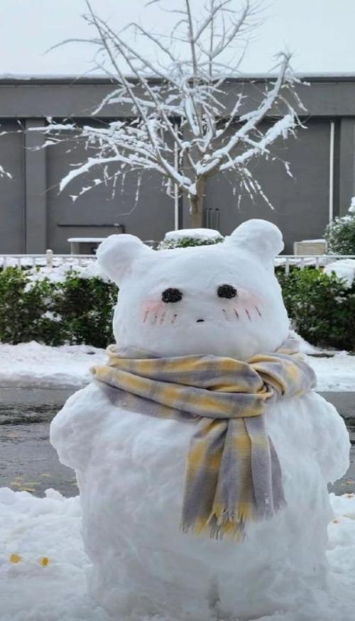 Hình nền điện tgoaij ảnh gấu tuyết trắng cute 