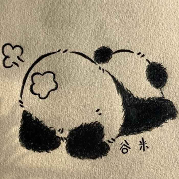 Hình vẽ gấu trúc cute