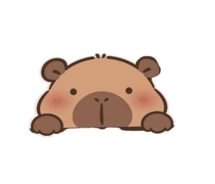 Hình vẽ mặt gấu cute
